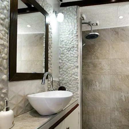 Sali Chelidonaki Boutique Apartment *